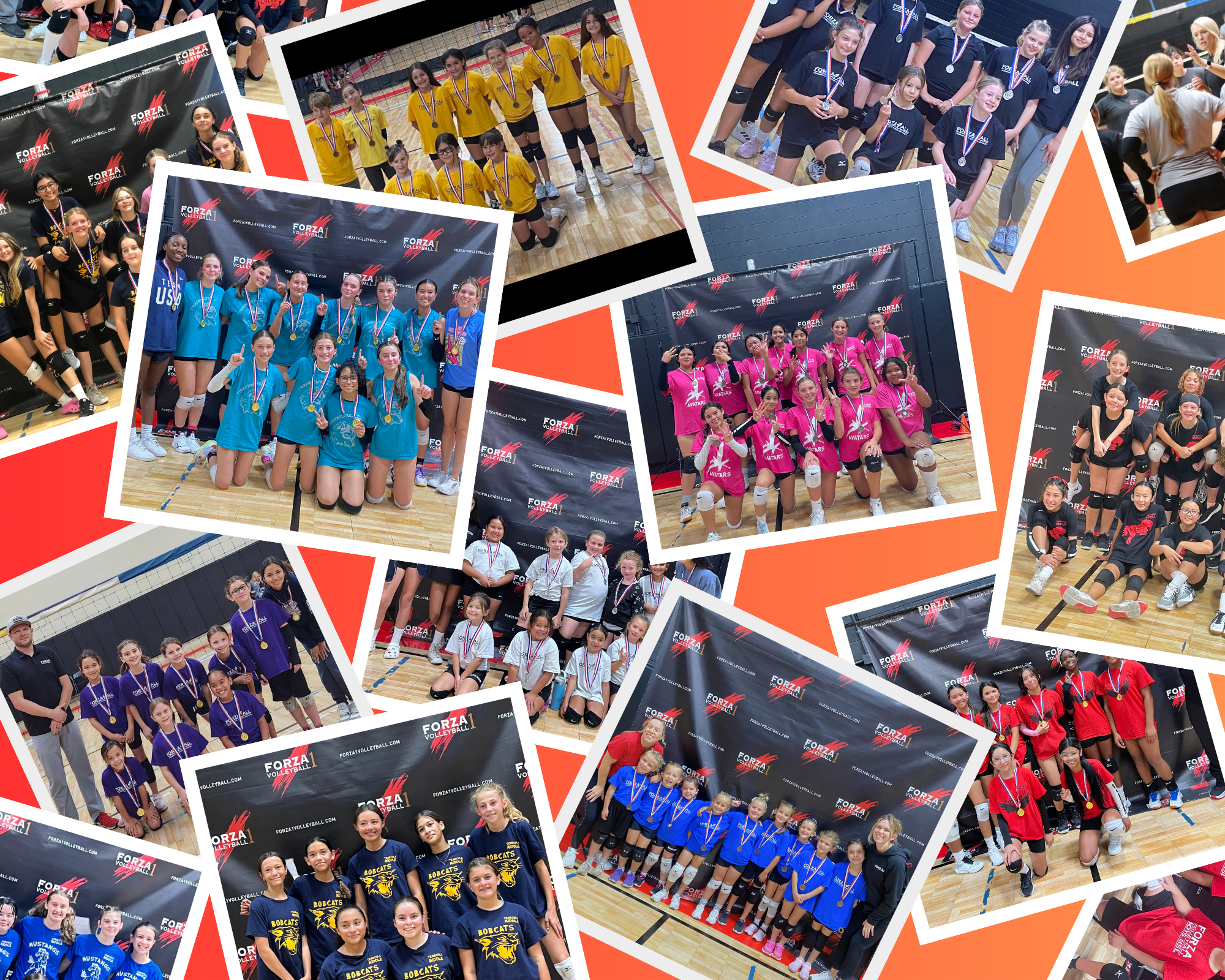 Ways To Donate Forzaforall